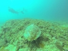 GOPR1165