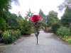 dscn8189