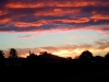 dscn8724