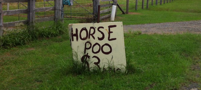 Horse Poo